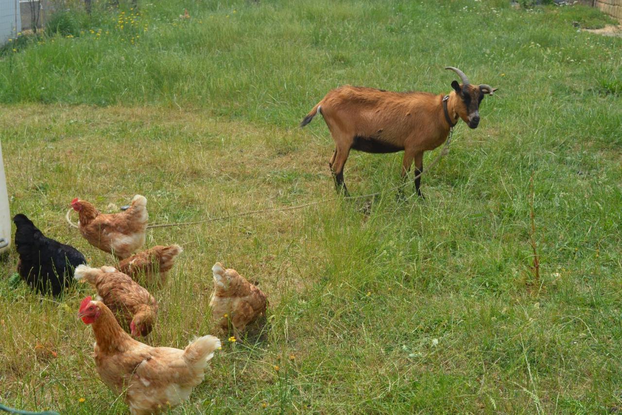 Detente Et Confort - Gite Baie Bocage Sartilly-Baie-Bocage Kültér fotó